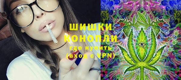 гашик Гусев