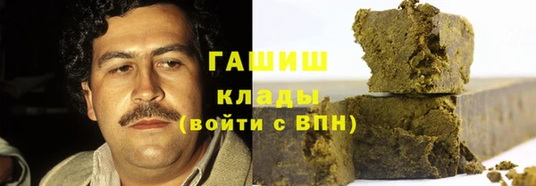 гашик Гусев