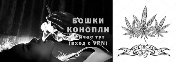 гашик Гусев