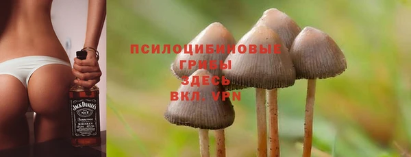 марки nbome Гусиноозёрск