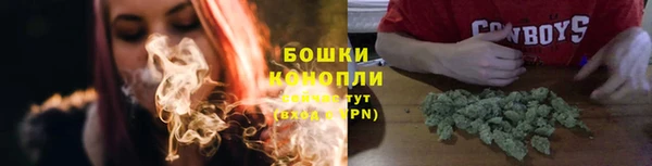 гашик Гусев