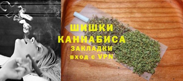 гашик Гусев