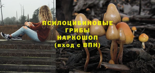 спиды Гусь-Хрустальный