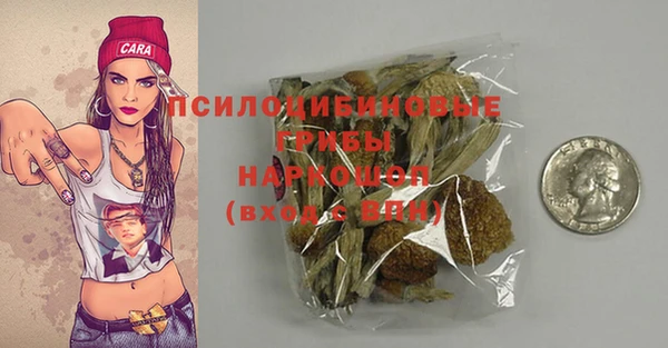 гашик Гусев